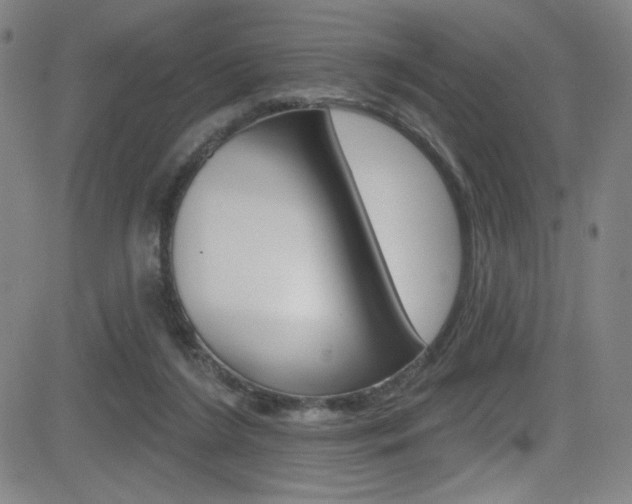 X0000083070212200702021019