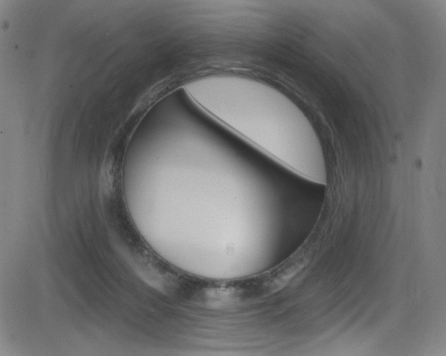 X0000083070216200702021019
