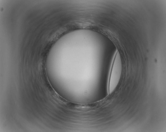 X0000083070221200702021019