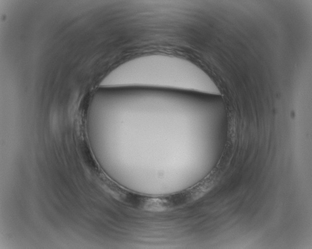 X0000083070222200702021019