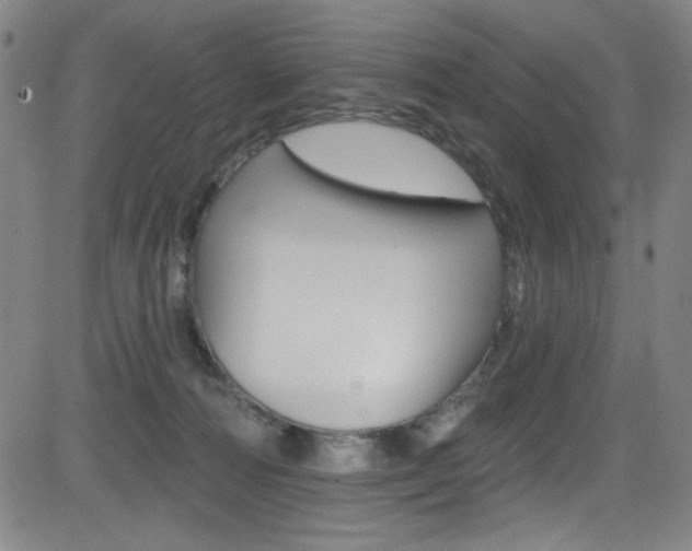X0000083070226200702021019