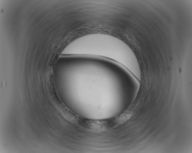 X0000083070229200702021019