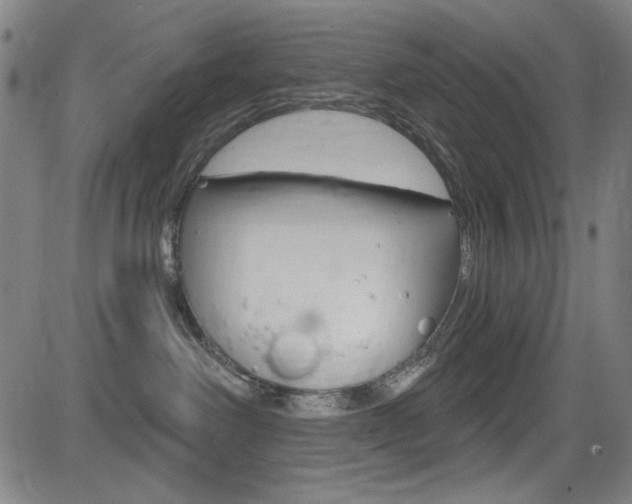 X0000083070238200702021018