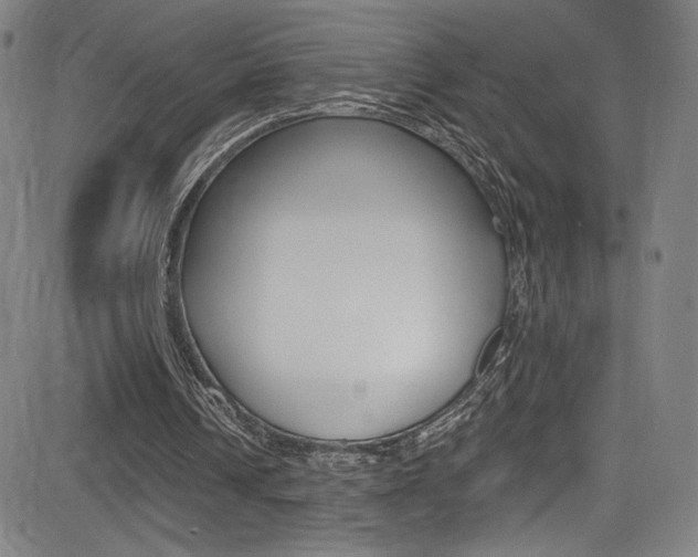 X0000083070242200702021018