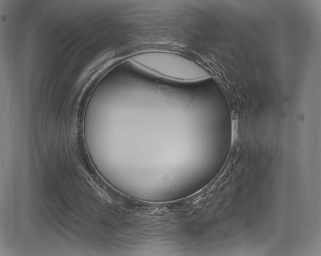 X0000083070243200702021018