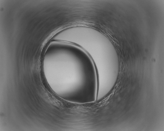 X0000083070244200702021018
