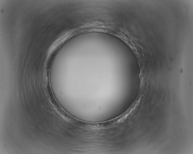 X0000083070245200702021018