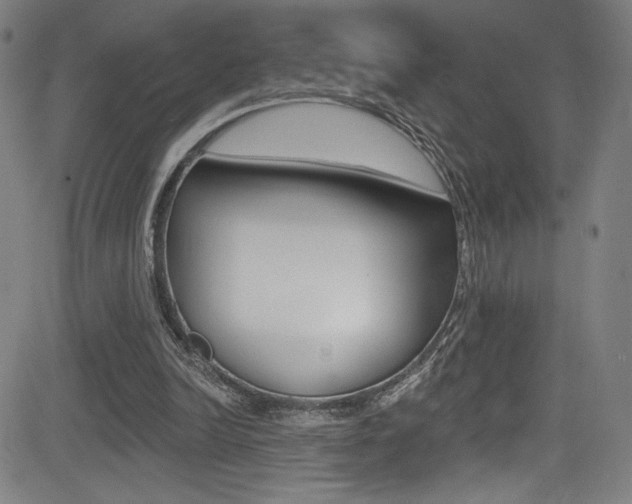 X0000083070246200702021018