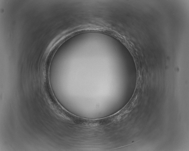 X0000083070247200702021018