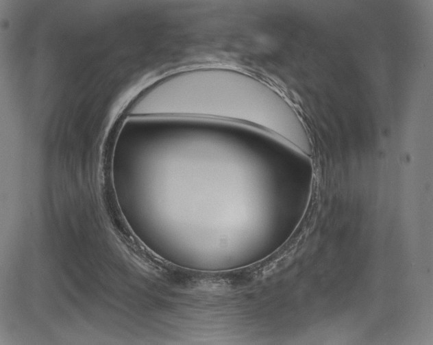 X0000083070248200702021018