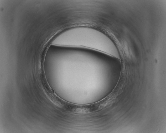 X0000083070251200702021018