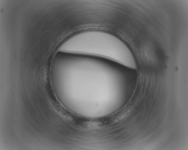 X0000083070255200702021018