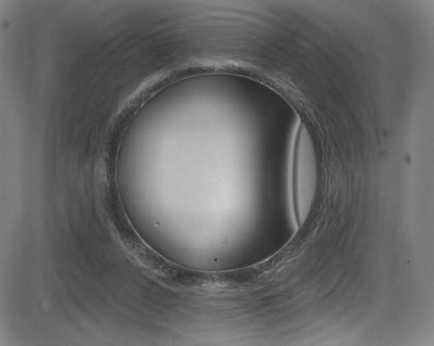 X0000083070256200702021018