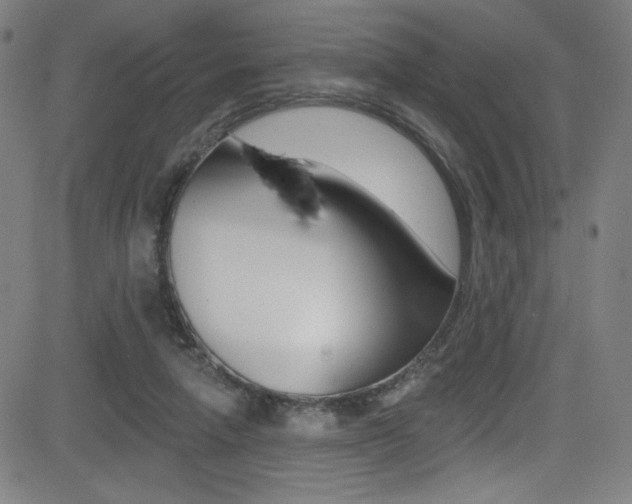 X0000083070258200702021018