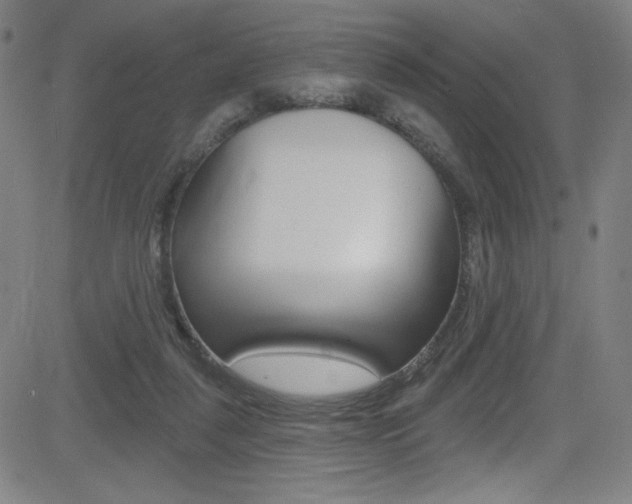 X0000083070259200702021018