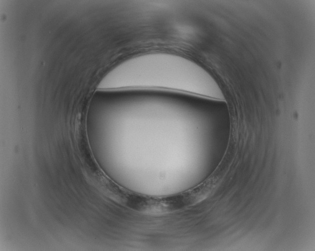 X0000083070263200702021018