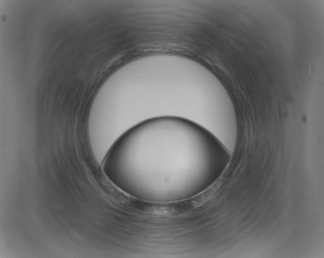 X0000083070264200702021018