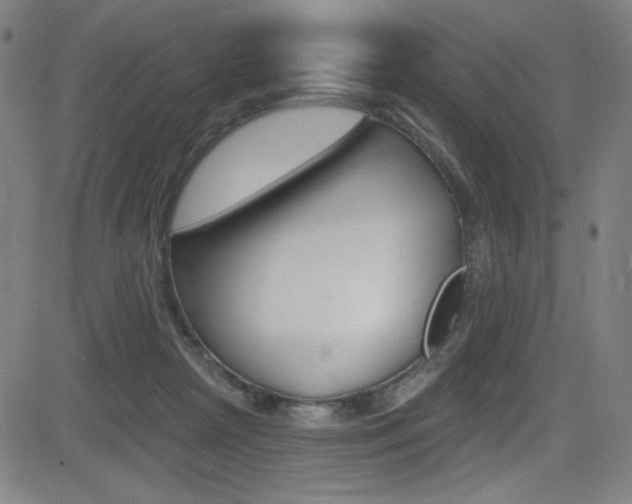 X0000083070265200702021018