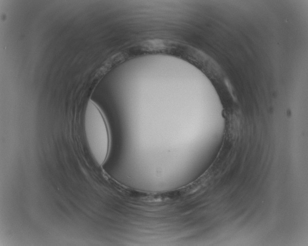 X0000083070267200702021018