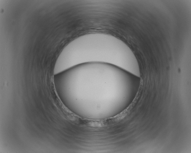 X0000083070272200702021018