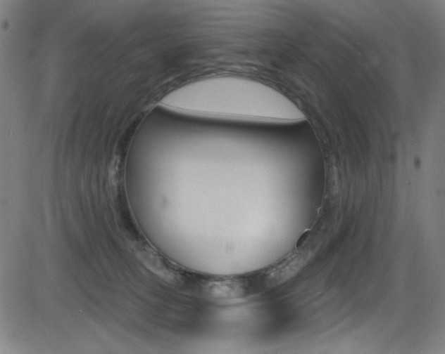 X0000083070275200702021018