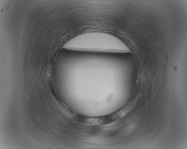 X0000083070277200702021018