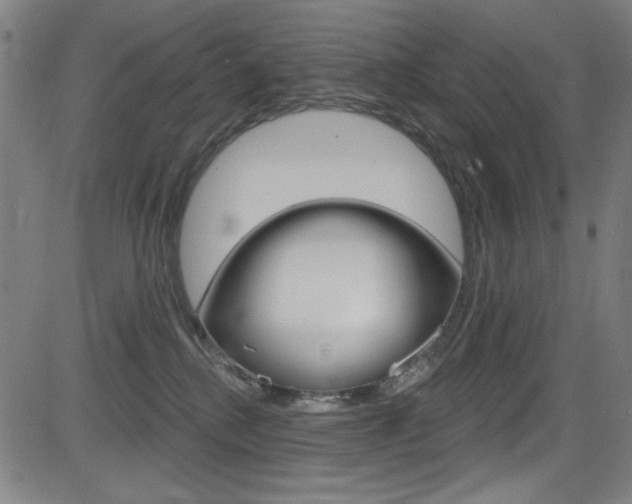 X0000083070280200702021018