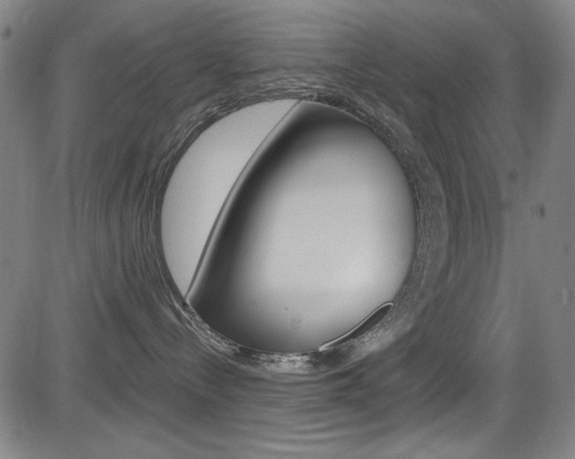 X0000083070288200702021018