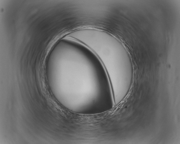 X0000083070289200702021018