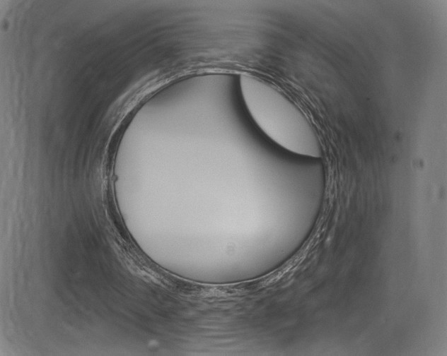 X0000083070290200702021018
