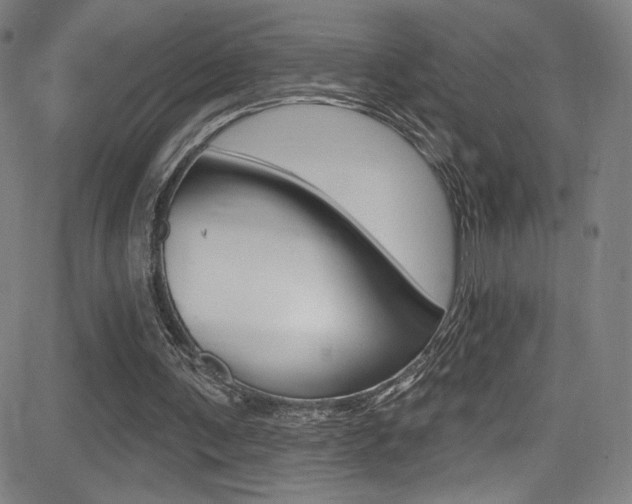X0000083070291200702021018