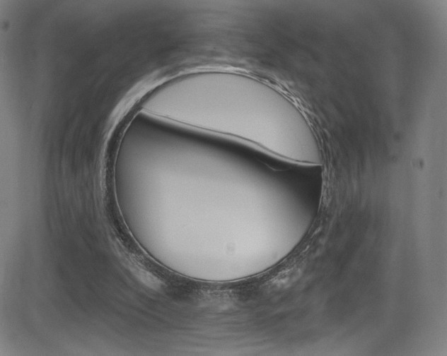 X0000083070296200702021018