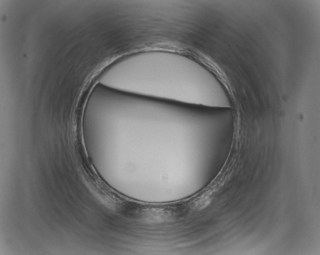 X0000083070298200702021017