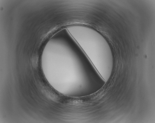 X0000083070304200702021017