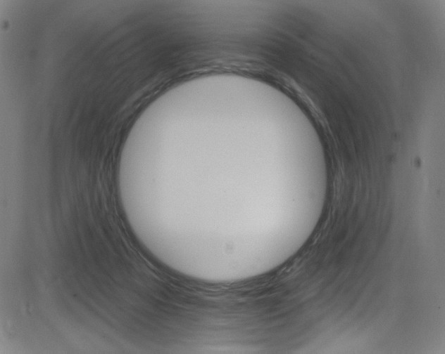 X0000083070313200702021017