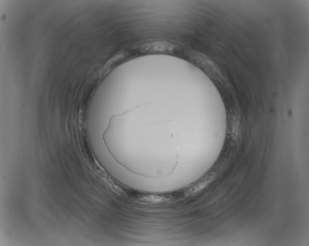 X0000083070326200702021017