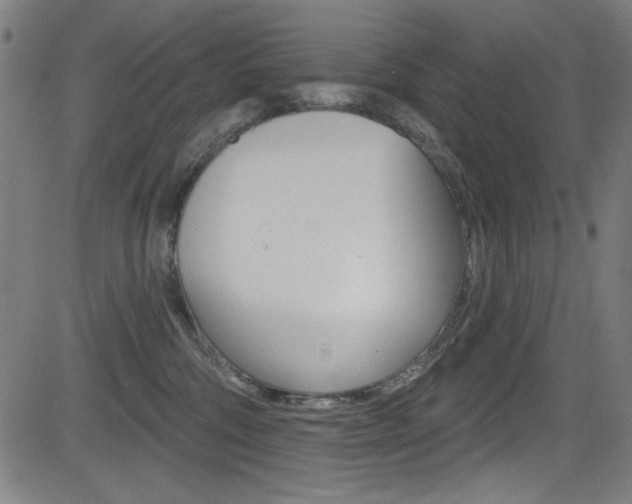 X0000083070330200702021017