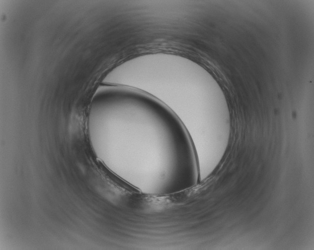 X0000083070333200702021017