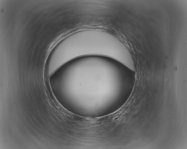 X0000083070340200702021016