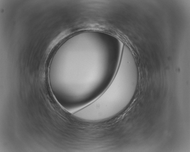 X0000083070344200702021016