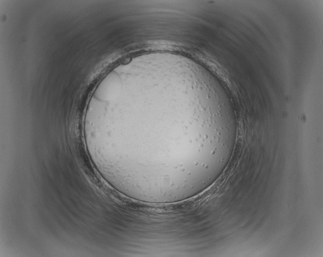 X0000083070347200702021016