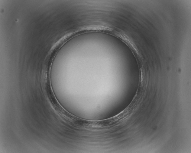X0000083070348200702021016