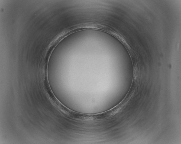 X0000083070349200702021016