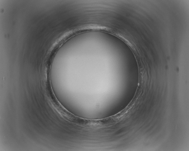 X0000083070350200702021016