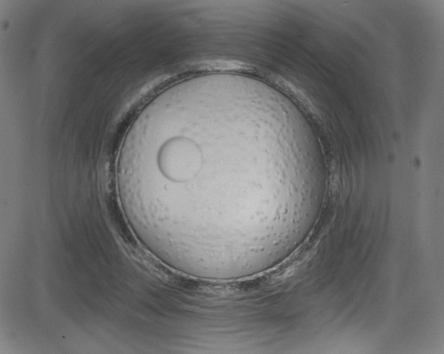 X0000083070351200702021016