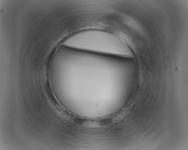 X0000083070354200702021016