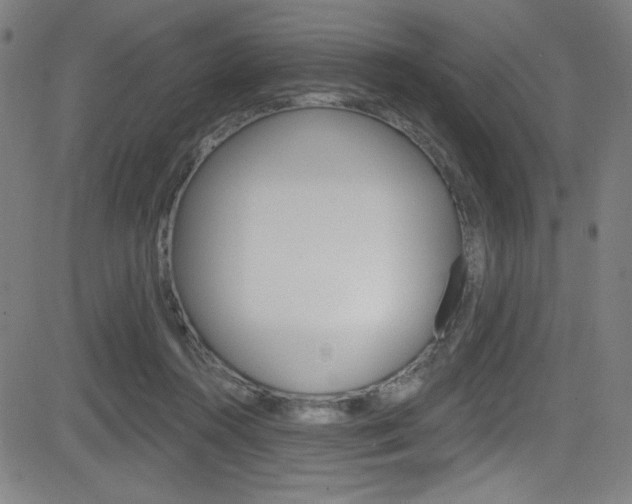 X0000083070360200702021016
