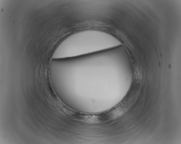 X0000083070363200702021016