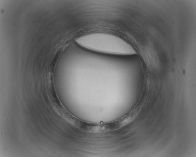 X0000083070366200702021017