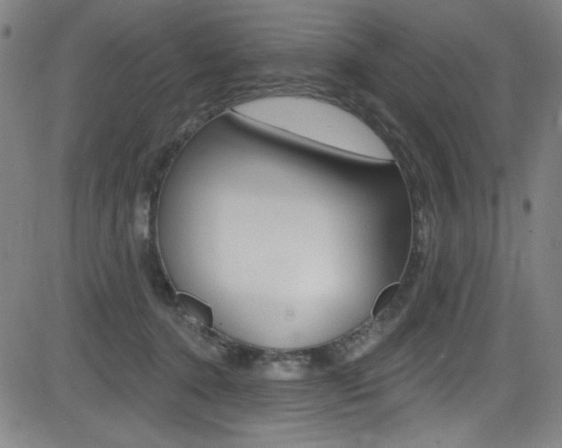 X0000083070368200702021017